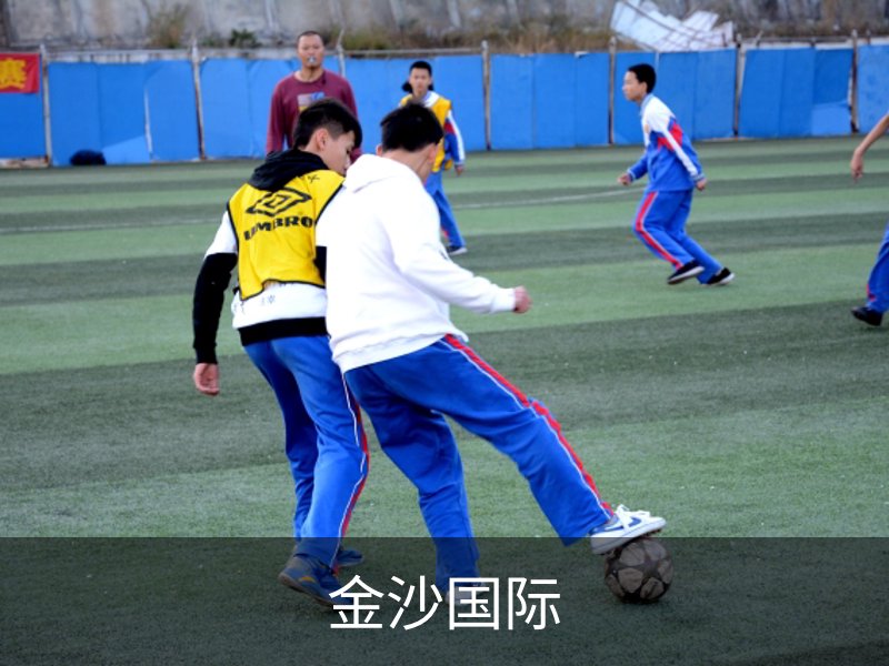 金沙国际概况